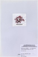 藏品(浪花藻)的圖片